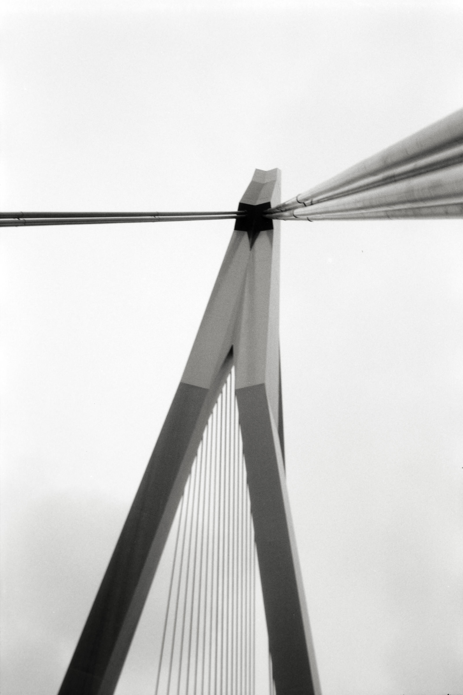 AHP F1998 05 001 sc240818 img20 NLP